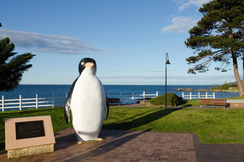 Sunrise at Penguin, Penguin, Australia