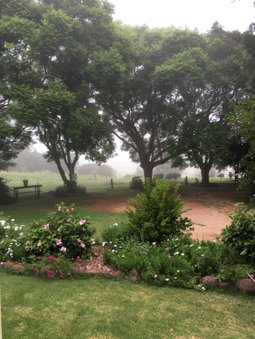 Hillview Cottages, Kingaroy, Australia