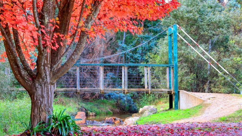Beechworth Lake Sambell Caravan Park, Beechworth, Australia