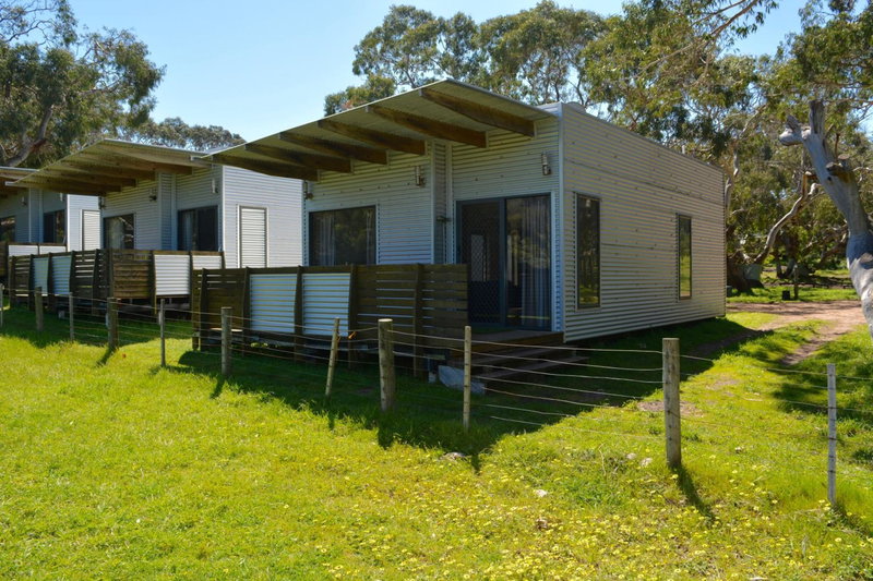 Bimbi Park - Camping Under Koalas, Cape Otway, Australia