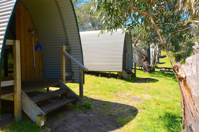 Bimbi Park - Camping Under Koalas, Cape Otway, Australia
