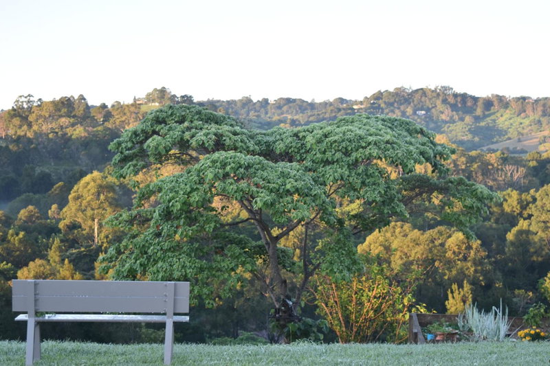 Mapleton Springs, Mapleton, Australia
