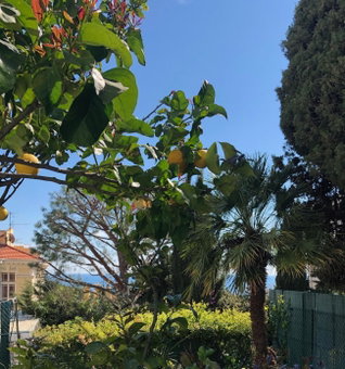 Hotel Normandy, Cap d'Ail, France