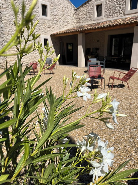 Le Mas aux cedres, Lioux, France