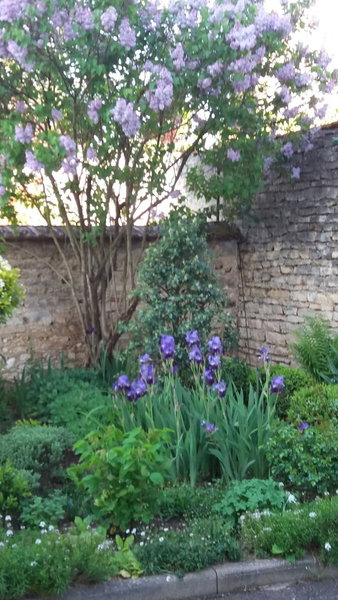 Hôtel La Villa Fleurie, Beaune, France
