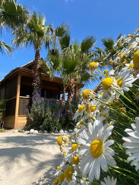 Kon Tiki, Saint-Tropez, France