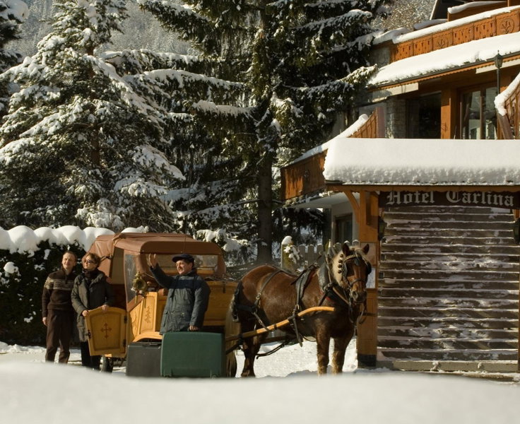 Carlina, La Clusaz, France