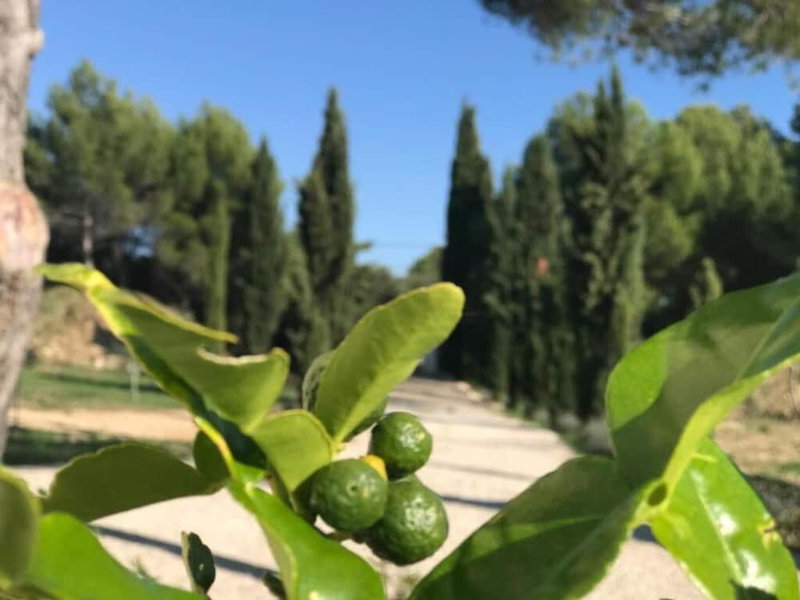 La Soleillade Aixoise, Aix-en-Provence, Francia
