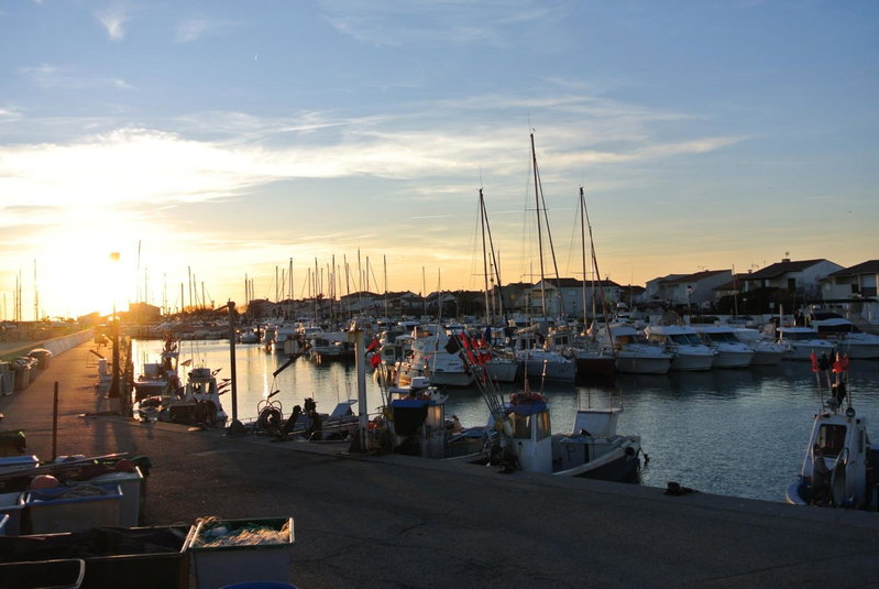 Hotel Les Palmiers En Camargue, Saintes-Maries-de-la-Mer, France