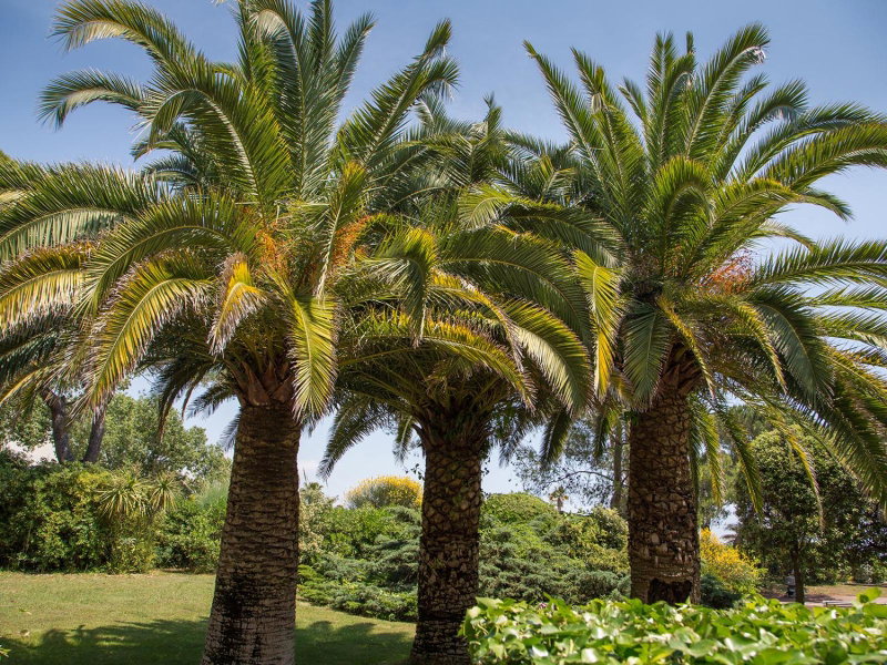 Hôtel Bahia, Villeneuve-Loubet, France