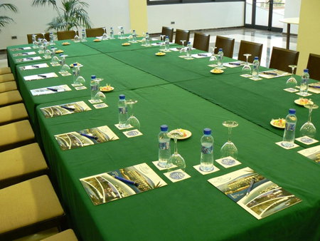 Hotel Flamingo, L'Ampolla, Spain