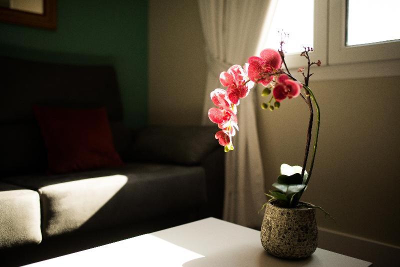 Apartamentos Cruz, Madrid, Spain