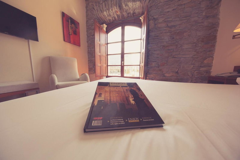 Hotel Aroi Bierzo Plaza, Ponferrada, Spain