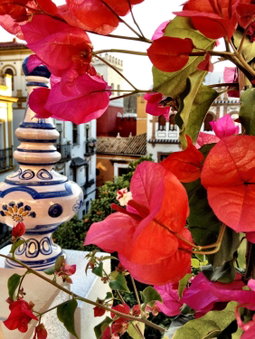 Hotel Boutique Elvira Plaza, Seville, Испания