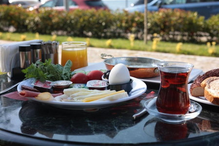 Taşliman Otel, Yalova, Turkey