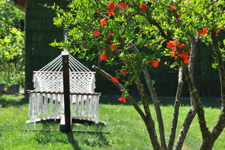 Grenadine Lodge, Dalyan, Turkey