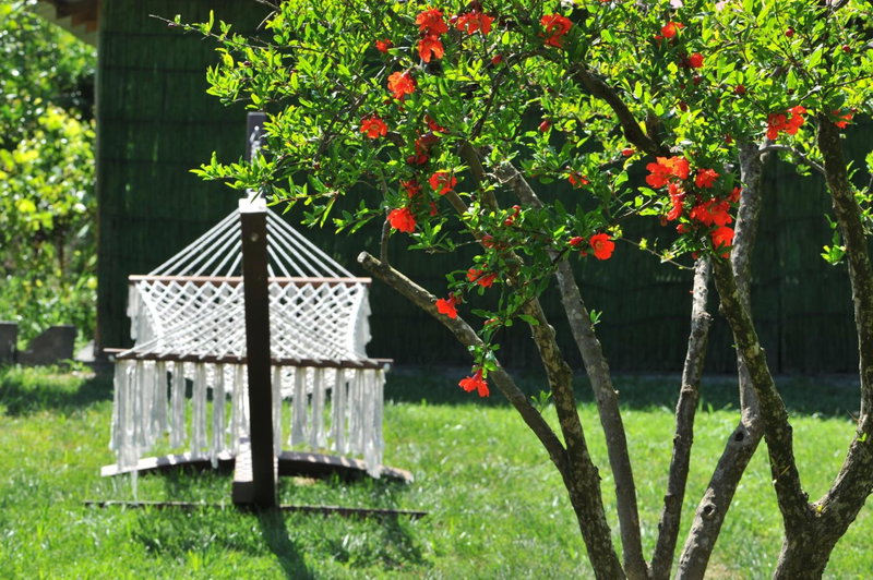 Grenadine Lodge, Dalyan, Turkey