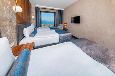 Ring Stone Hotels Bosphorus - Special Class, Istanbul, Турция