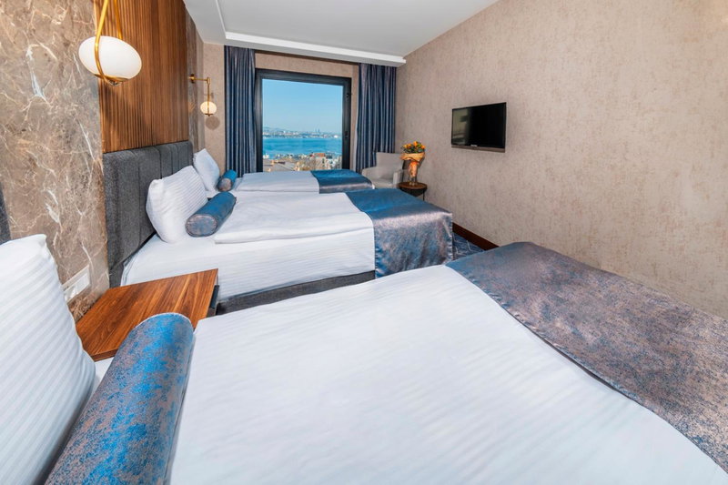 Ring Stone Hotels Bosphorus - Special Class, Istanbul, Турция