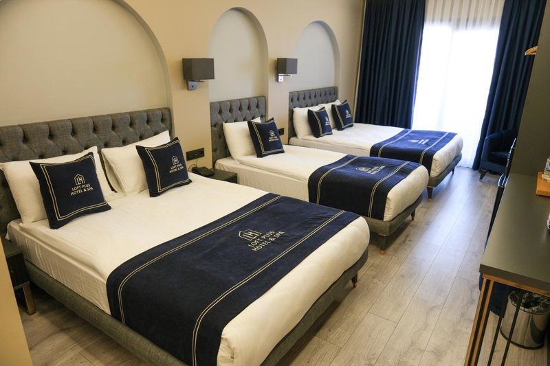 Plus Hotel & Private Transportation İstanbul Airport-By Loft, Arnavutköy, Turquie
