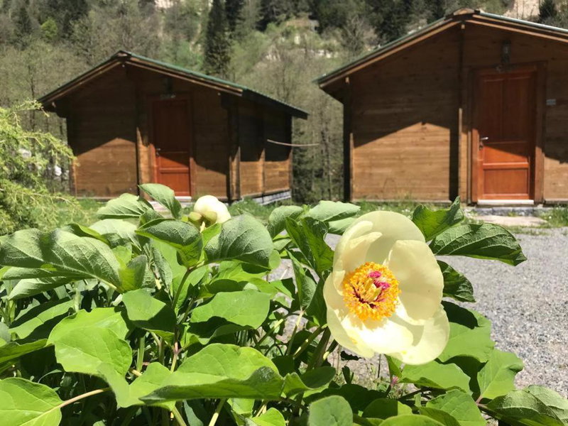 Kardelen Bungalov Evleri̇, Ayder Yaylasi, Турция