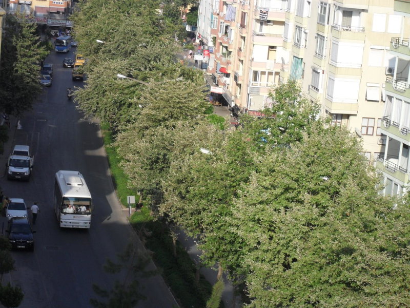 Hotel Yildirimoglu, Alanya, Turquía