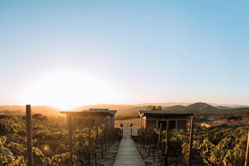 UvaUva eco-retreat, Valle de Guadalupe, Мексика