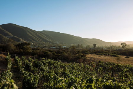 UvaUva eco-retreat, Valle de Guadalupe, Мексика