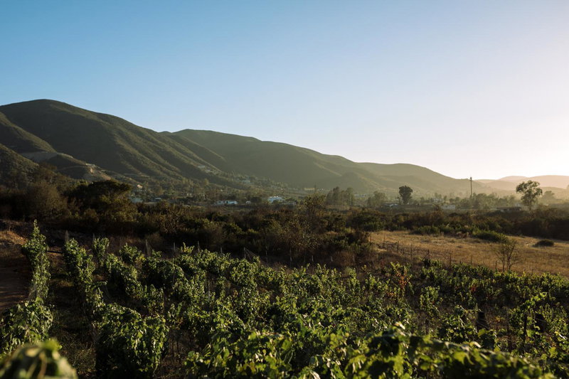 UvaUva eco-retreat, Valle de Guadalupe, Мексика