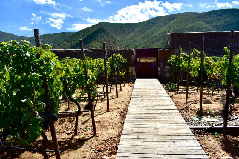 UvaUva eco-retreat, Valle de Guadalupe, Мексика