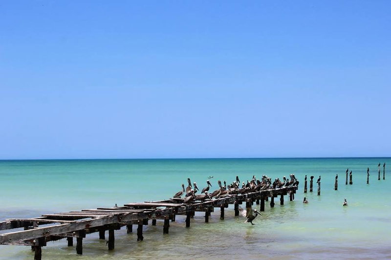Cabañas El Cuyo, El Cuyo, Mexico