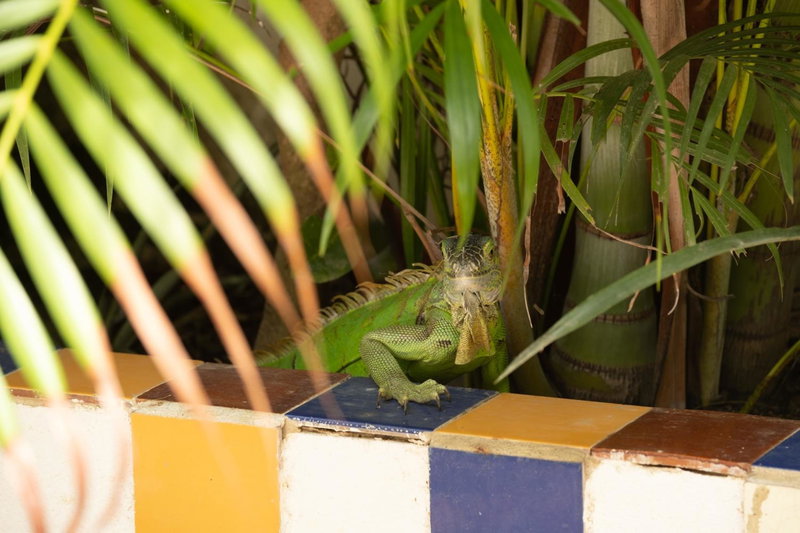 Casa Mazunte Tierra Viva, Mazunte, México