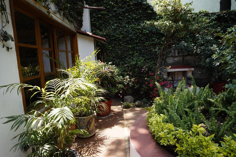 Casa Jacinta Guest House, Mexico City, Mexique