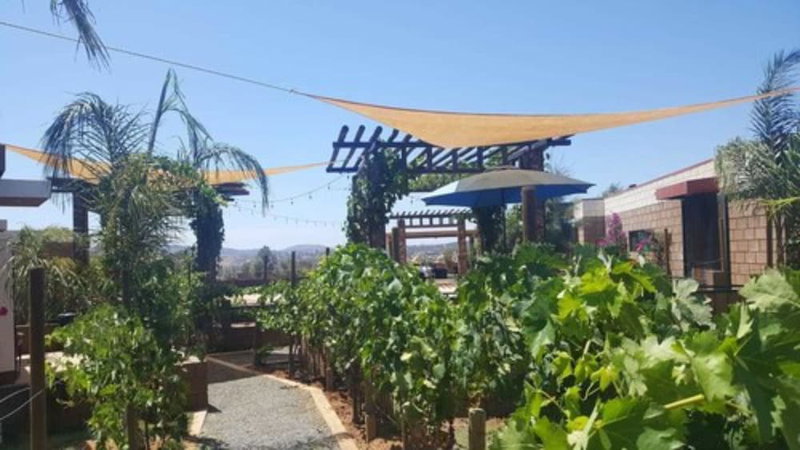 Cabañas Rancho Palos Verdes, Valle de Guadalupe, Mexico