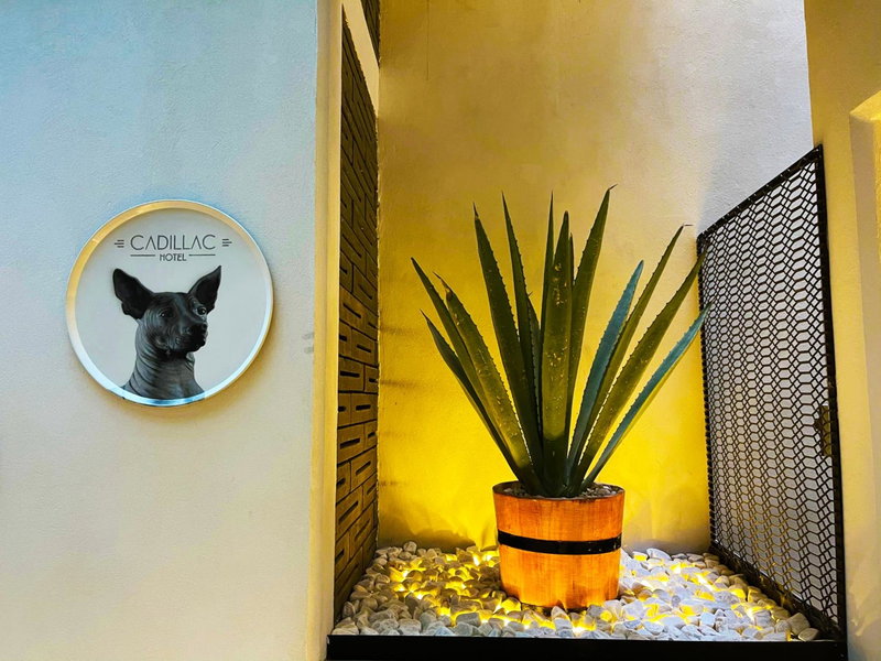 Cadillac Hotel Boutique, Mexico City, Mexique