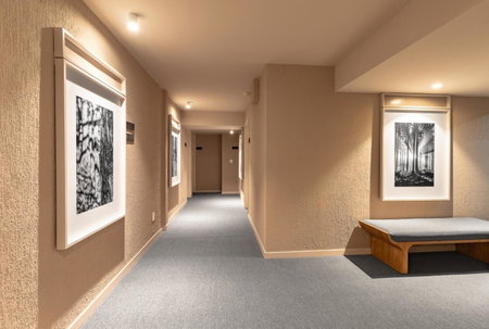 Oliva Plaza Hotel, Guadalajara, Mexique