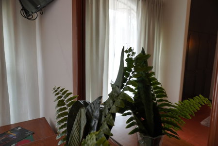 Hotel Ilebal Cuernavaca Centro - un lugar con encanto, Cuernavaca, Мексика