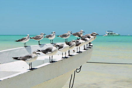 El Corazón Boutique Hotel - Adults Only with Pool & Beach Club Access, Holbox Island, México