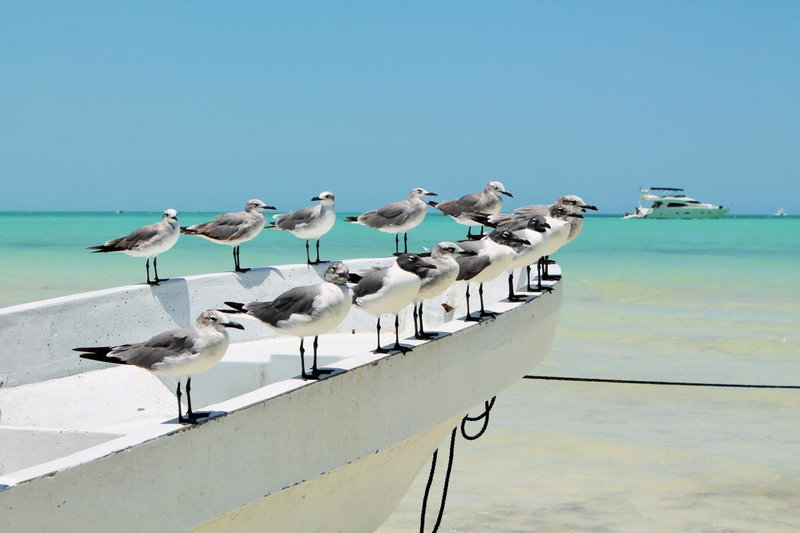 El Corazón Boutique Hotel - Adults Only with Pool & Beach Club Access, Holbox Island, México