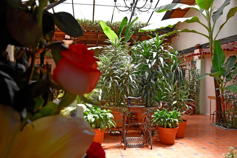 Hotel San Luis, San Cristóbal de Las Casas, Мексика