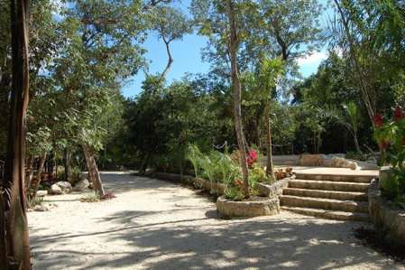 Reserva Ecologica Hacienda Cancun, Cancun, México