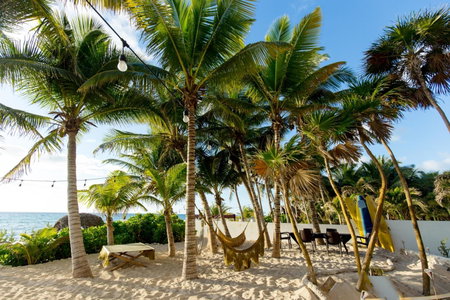 Angelina 28 Beachfront and Family Apartments - Modern and Relaxing Long Stays - 20 min from Cancun Airport, Puerto Morelos, Mexico