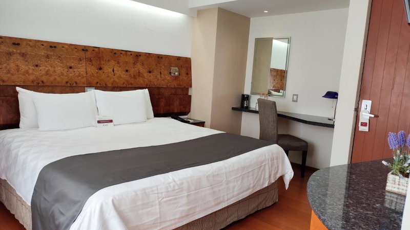 Holiday Inn Express Ciudad de Mexico Condesa by IHG, Mexico City, Mexiko
