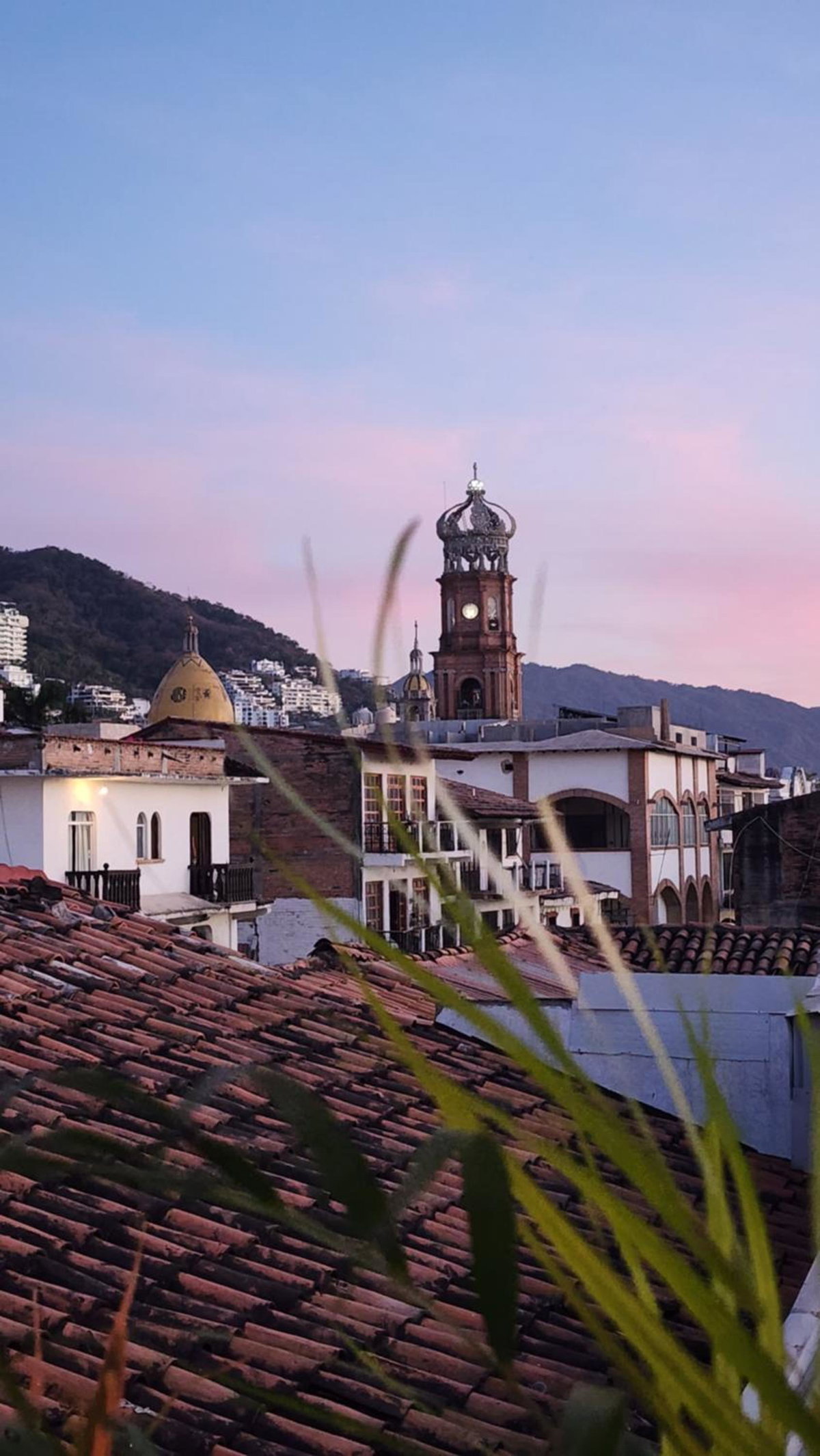 Hotel · Hostel Vallarta, Puerto Vallarta