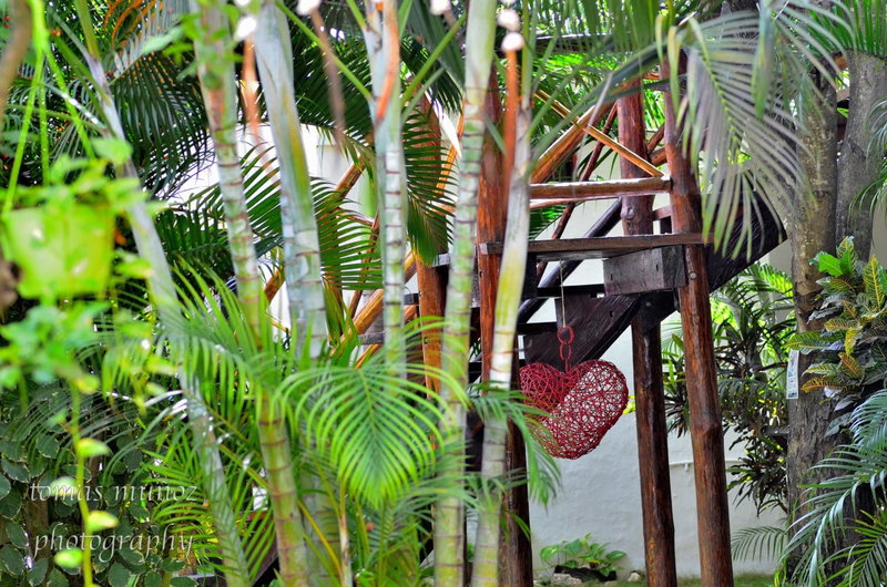 Pacha Tulum Boutique Hotel, Tulum, Mexique