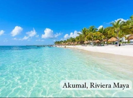El Ultimo Maya, Akumal, México