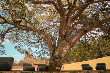 Botanique Hotel Experience - Campos do Jordão, Campos do Jordão, Brazil