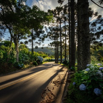 Hotel Fioreze Chalés, Gramado, Brasil