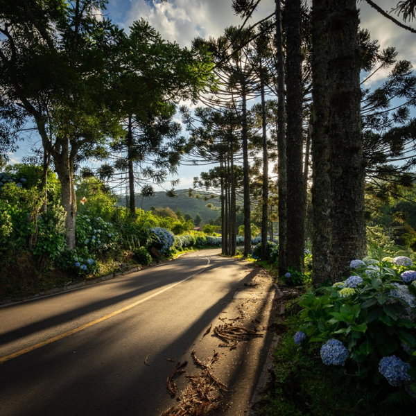 Hotel Fioreze Chalés, Gramado, Brasil