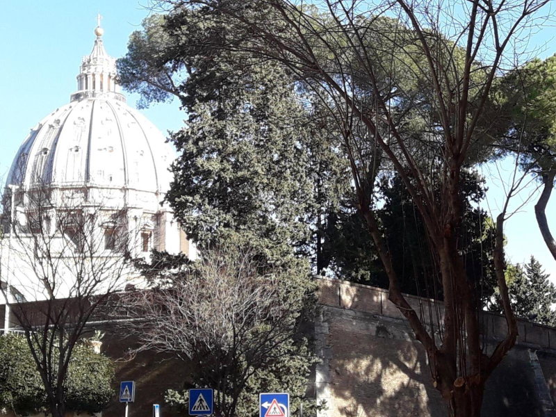 San Pietro Leisure and Luxury, Rome, Italia
